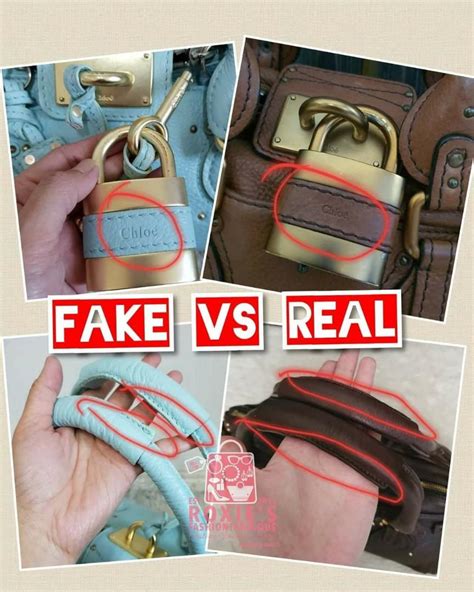 paddington chloe fake